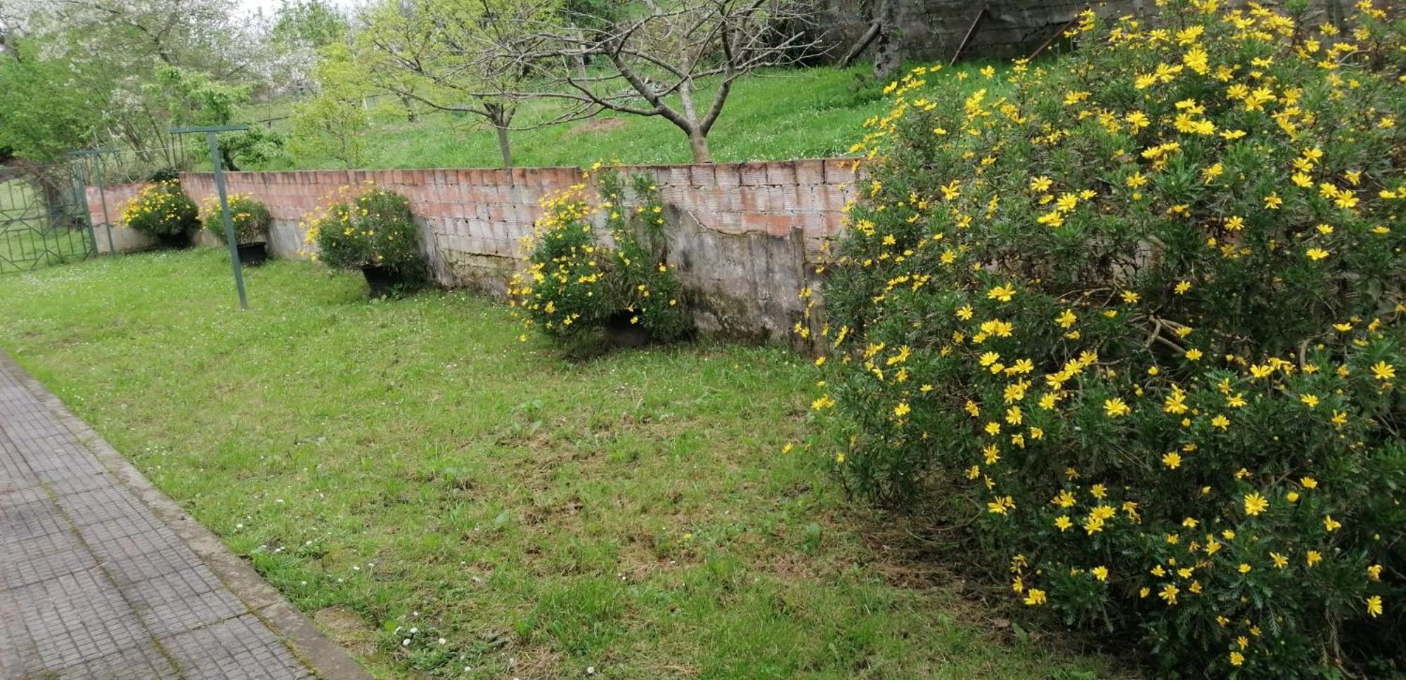 Fondu La Llosa - Casita Cerca De Gijon - Vv-662-As Вальявисьоса Экстерьер фото